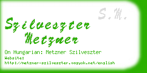 szilveszter metzner business card